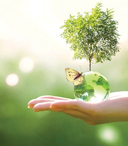 Dlaczego bioróżnorodność jest dla firmy ważniejsza, niż się z pozoru wydaje [PORADNIK DGP]