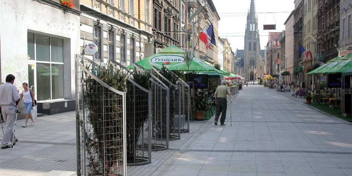 W Katowicach zamknęli tuje na klucz