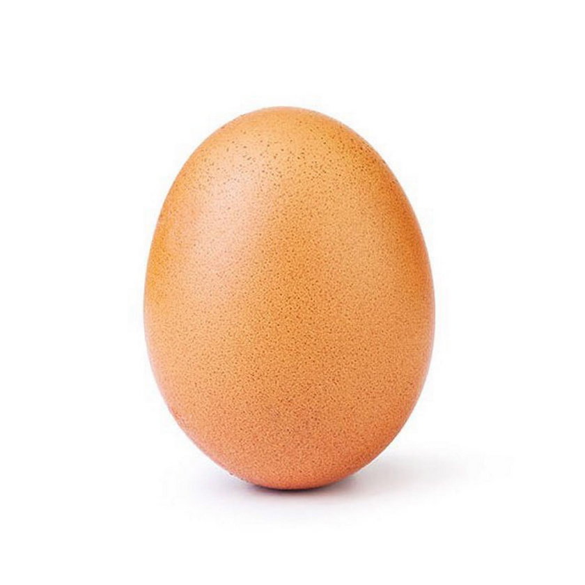 Rekordowe jajko