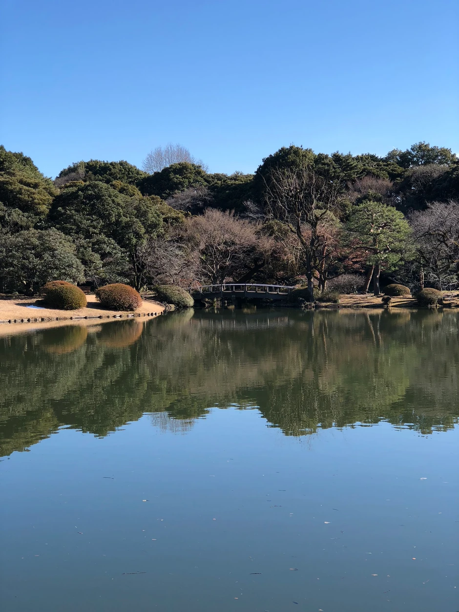 Život sa amazonskim plemenom