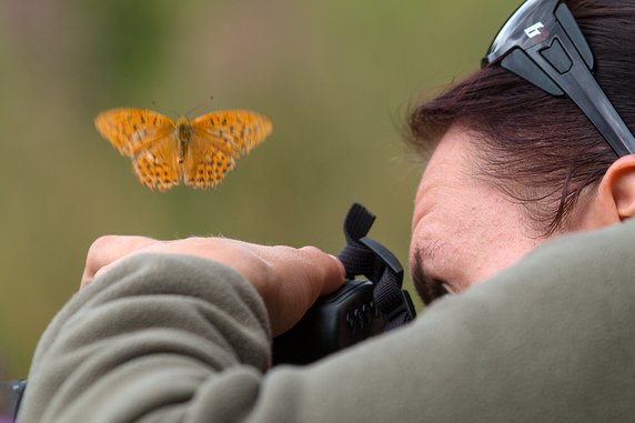 Fotografia przyrodnicza po drugiej stronie lustra