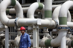 BASF zatrudnia w Chinach robotników przymusowych? W tle polityka wobec Ujgurów