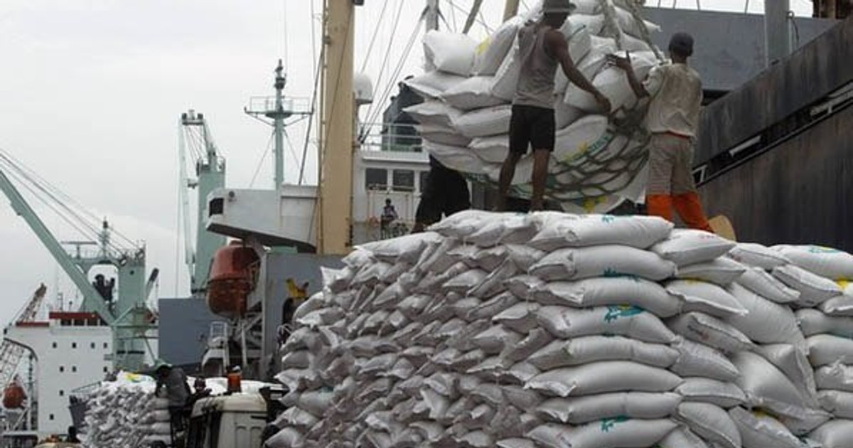 Africa's top rice producers set to benefit from a $5 billion market expansion by 2030