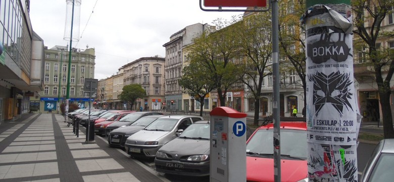 Nieletni uszkodzili parkometry - straty oszacowano na ponad 14 tys. zł