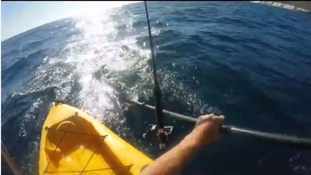 Amerykański kajakarz Mark McCracken zamieścił w sieci nagranie, na którym widać jak atakuje go rekin - podaje "The Independent".