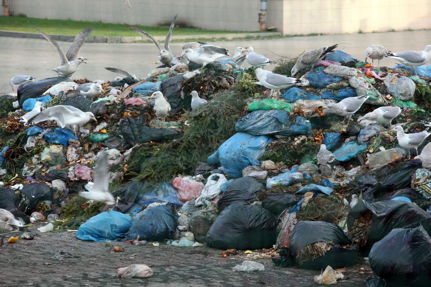 Wysypisko śmieci w Szadółkach 