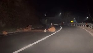 Devojka se zaustavila kako bi uklonila stenu nasred puta