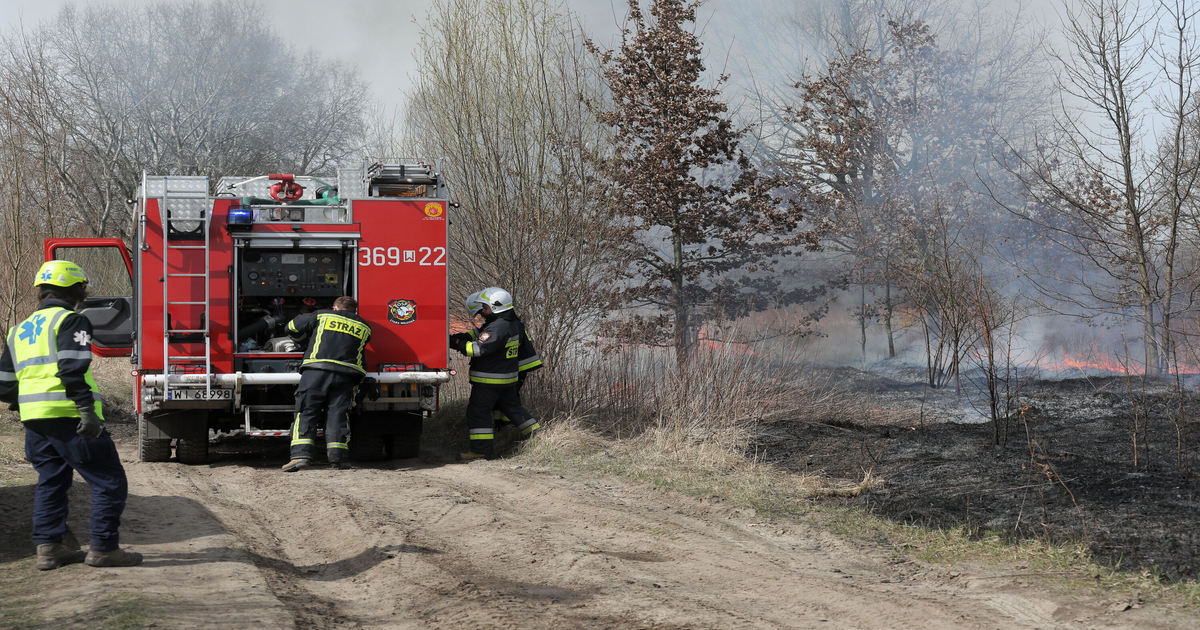 Nawrocki-podpisa-Grzywny-za-zagro-enie-po-arowe-do-30-tysi-cy-z-otych