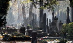 Potworny wypadek na cmentarzu w Słupsku. To stało się z 5-latką