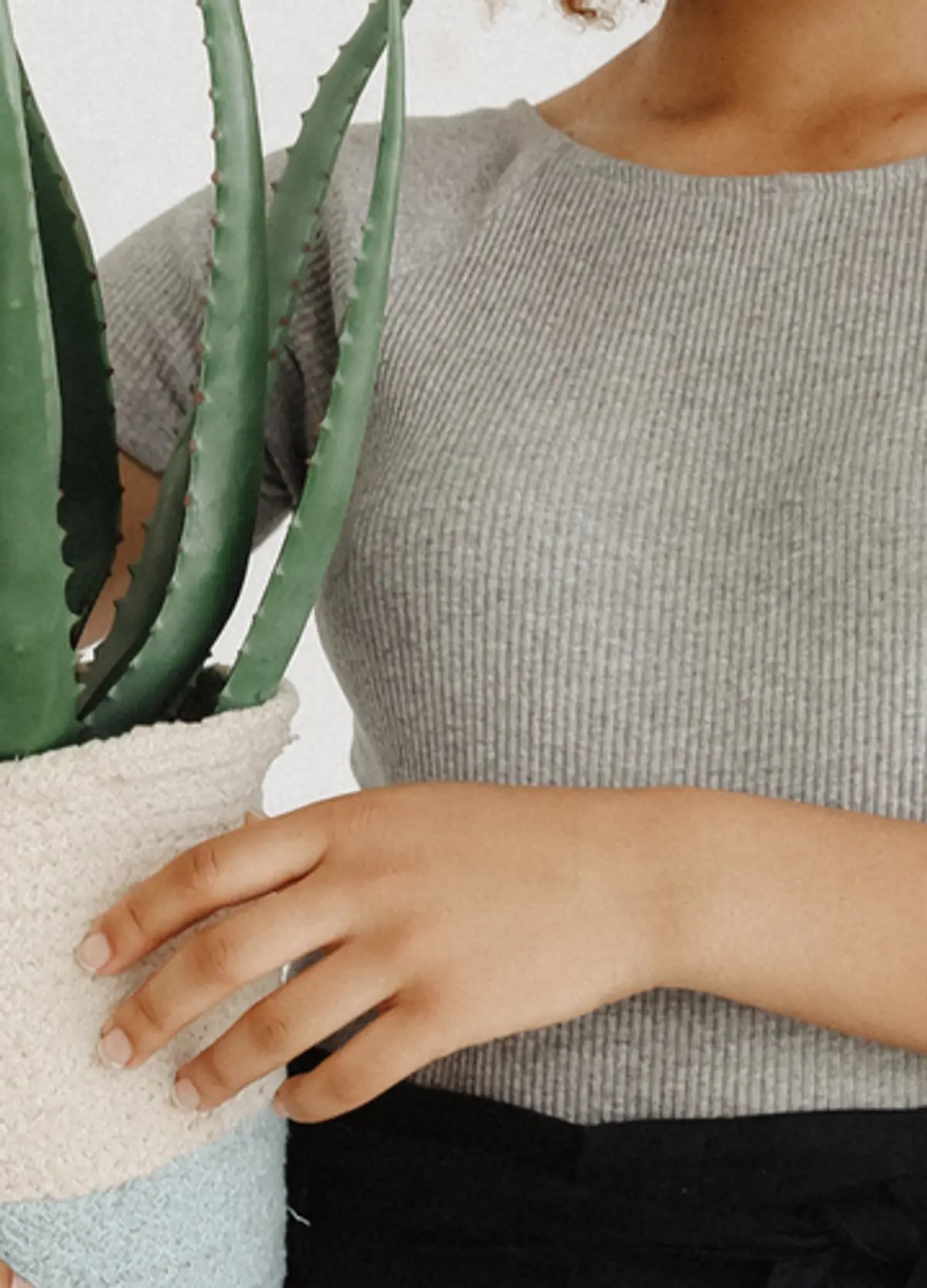 Aloes na wosy: trzy doskonae maski, ktre zrobisz w domu | Ofeminin