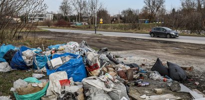 Wstrząsające znalezisko na śmietniku. Tak pozbyli się żółwia