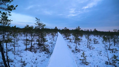 Park Narodowy Lahema w Estonii
