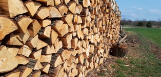 Ceny drewna opałowego w Polsce 2025 – ile kosztuje 1 metr drewna opałowego we wrześniu 2025? Jaka jest aktualna cena drewna opałowego?