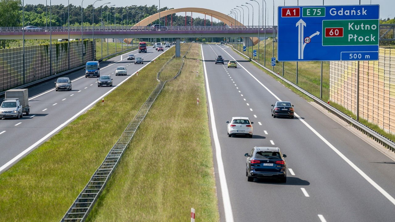 Aktywiści alarmują w sprawie przejść dla zwierząt nad autostradami
