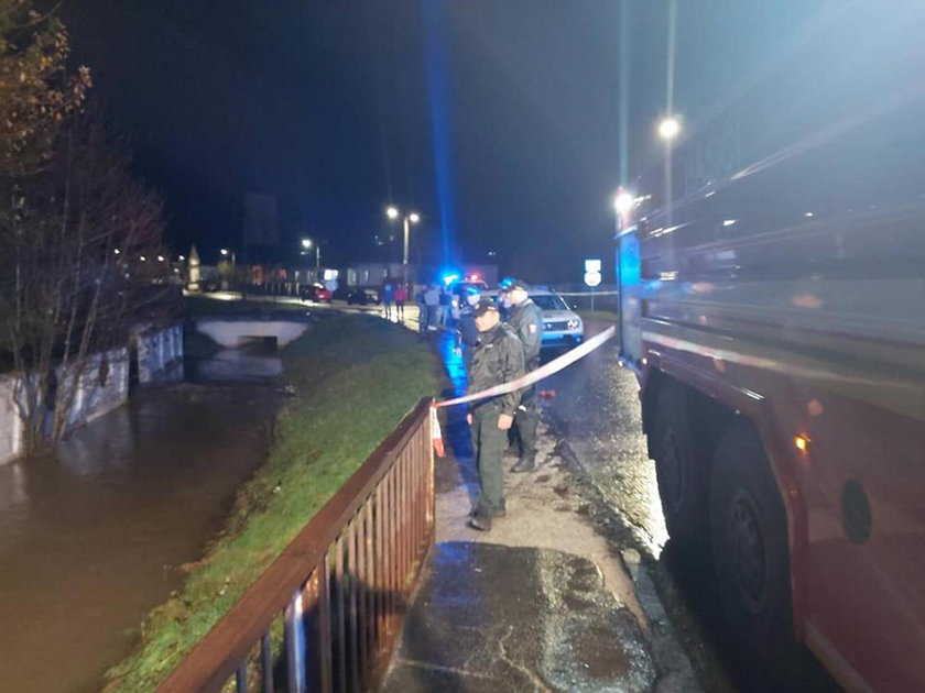 Straszna śmierć trzech wolontariuszek na Słowacji. Zginęły, ratując psy ze schroniska