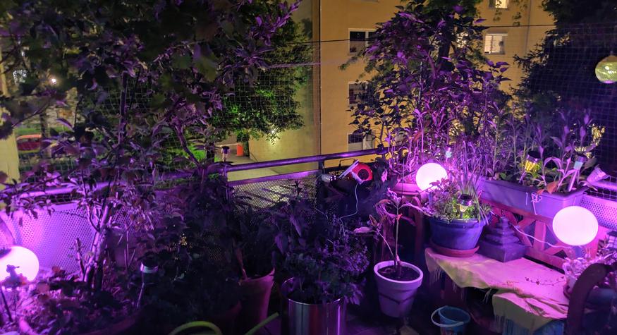 Smarte Beleuchtung für Garten, Balkon und Terrasse: Philips Hue, Govee & Co  | TechStage