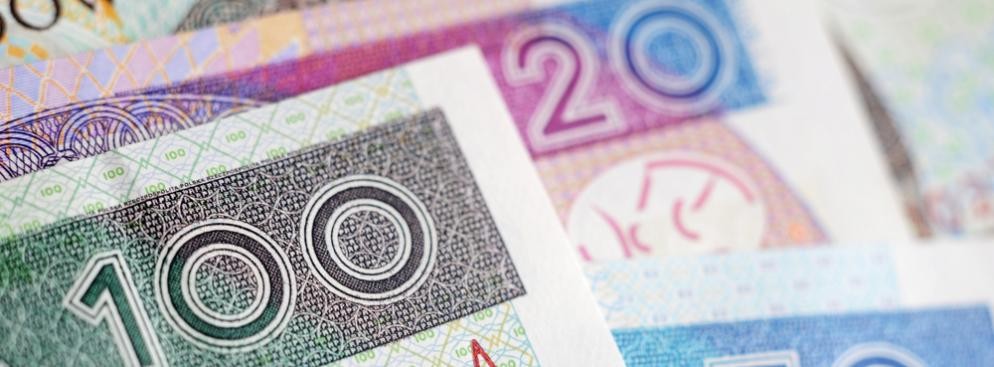 Kary za nielegalną wycinkę drzewa będą niższe. Wynosić mają dwukrotność opłaty za zezwolenie na legalne usunięcie drzewa. Obecnie jest to trzykrotność. Co więcej, osoby żyjące w rodzinach, w których dochód na jednego członka wynosi 50 proc. minimalnego wynagrodzenia, mogą liczyć na obniżenie kary nawet o połowę.