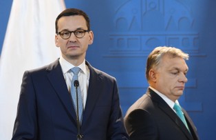 Odnotowano temat art.7.1. podczas spotkania w Budapeszcie "na marginesie konsultacji"