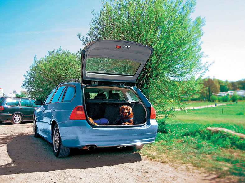 Trójka na szóstkę - BMW 320i Touring