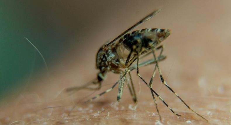 Some 214 million cases of malaria were reported worldwide last year, killing 438,000 people, mainly in Africa, according to the World Health Organization