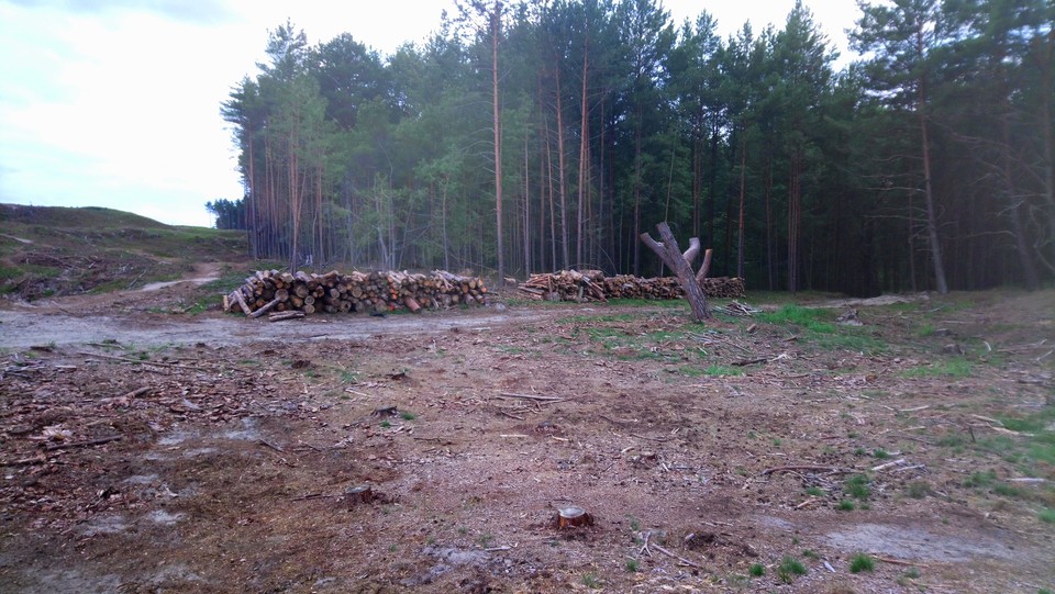 Teren przekopu Mierzei Wiślanej