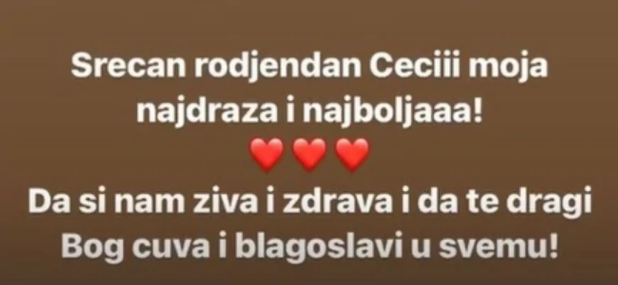 Ceca Ražnatović, Anastasija i  Nemanja Gudelj