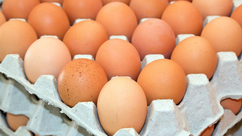 Salmonella na jajkach. GIS ostrzega