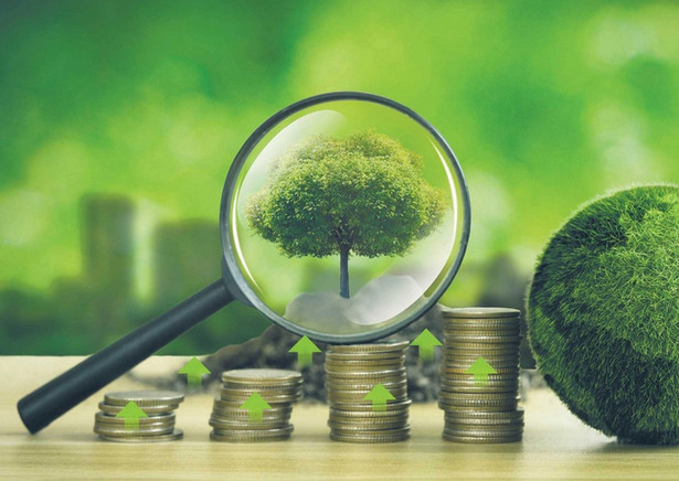 Firmy mogą ubiegać się o dotowany kredyt ekologiczny