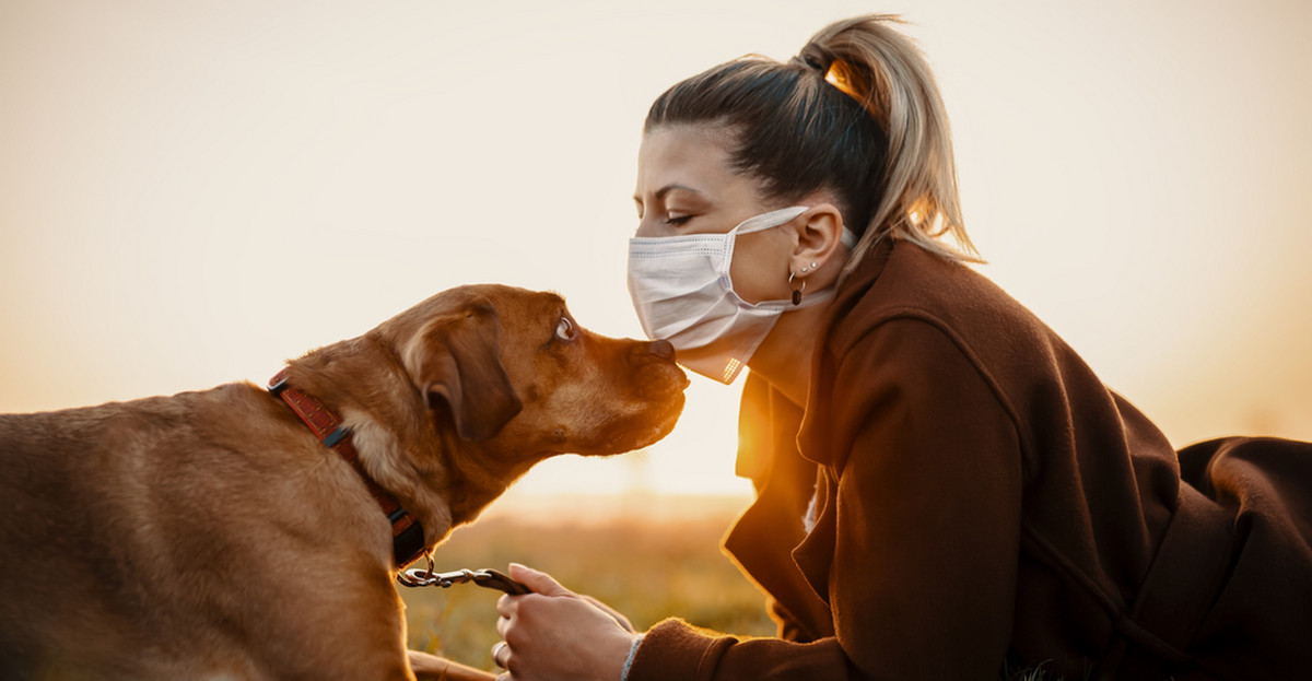 Wyszkolony pies może wykryć koronawirusa po zapachu człowieka
