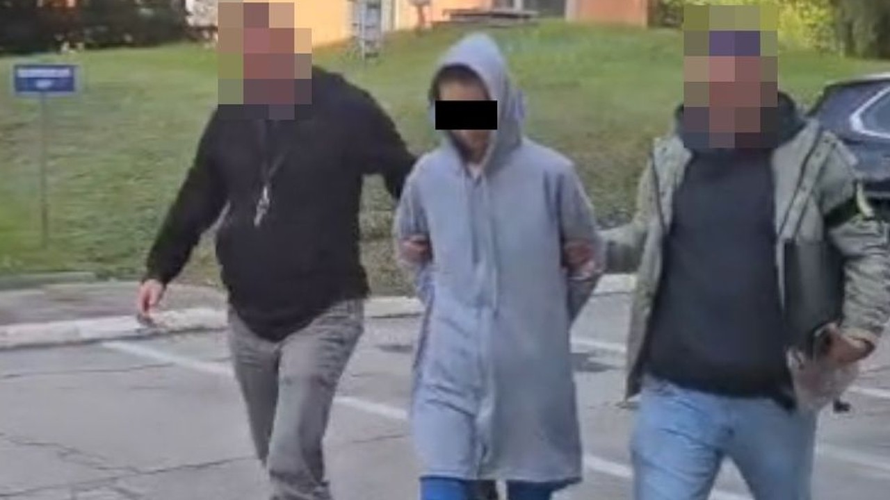 Brutalnie zabiła swojego partnera i uciekła. Policja odnalazła ją w Polsce