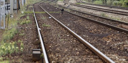 Tajemnicza śmierć w Grodzisku Mazowieckim. Zwłoki leżały przy torach