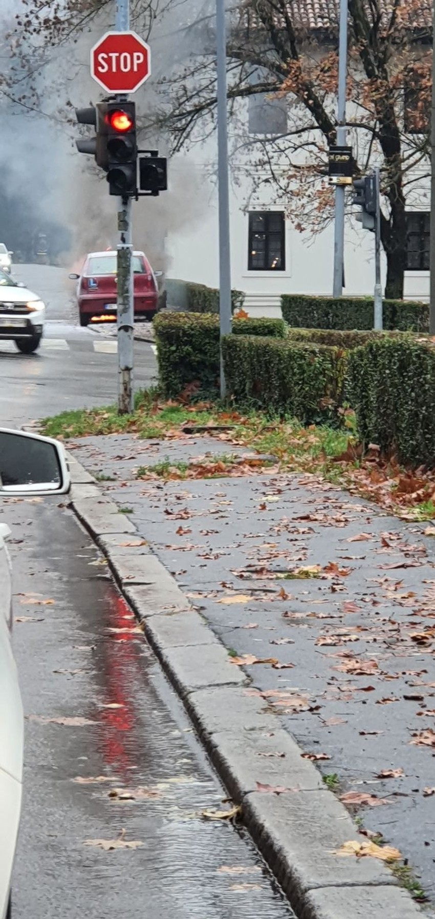 Gori auto na Košutnjaku