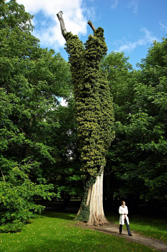 Gdańsk, Park Oliwski