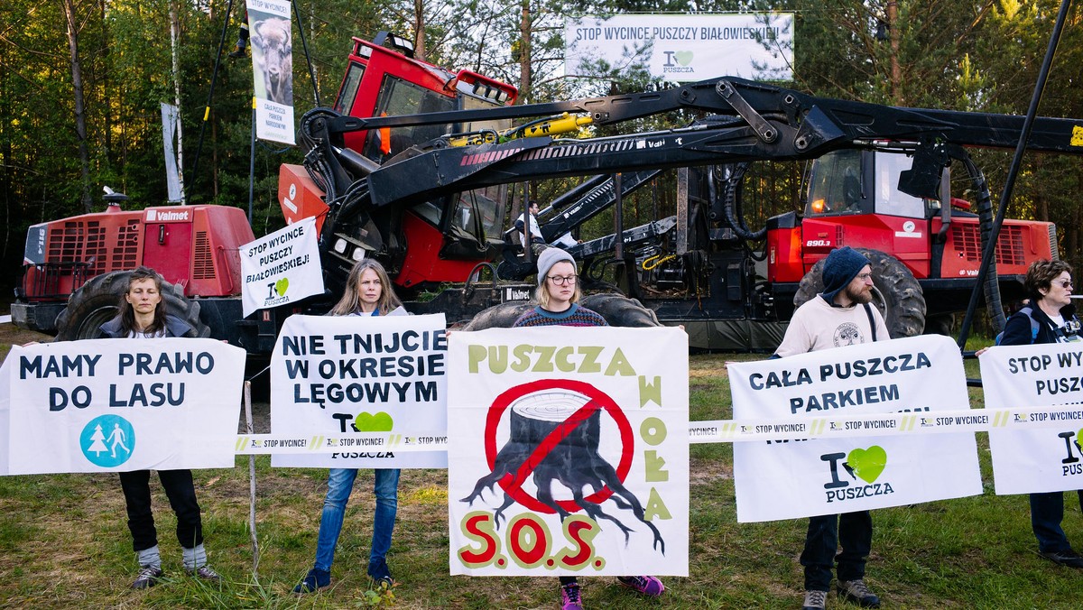 Aktywiści z Greenpeace Polska i Dzikiej Polski ponownie zablokowali ciężki sprzęt pracujący przy wycince Puszczy Białowieskiej. Tym razem towarzyszy im również przedstawiciel lokalnej społeczności. Protestujący zaapelowali do naukowców o przeprowadzenie wizji lokalnej w celu potwierdzenia doniesień o usuwaniu i sprzedaży martwych drzew, w których nie ma korników.