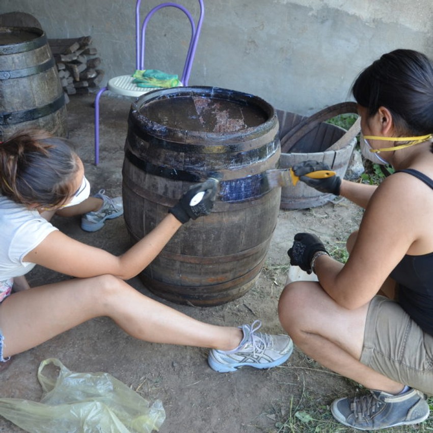 Volonterski kamp "Dunavska ala"