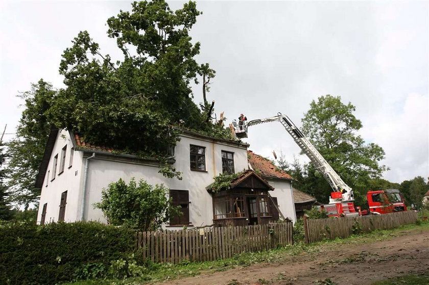 100-letni dąb zwalił się na dom państwa Szczyglak