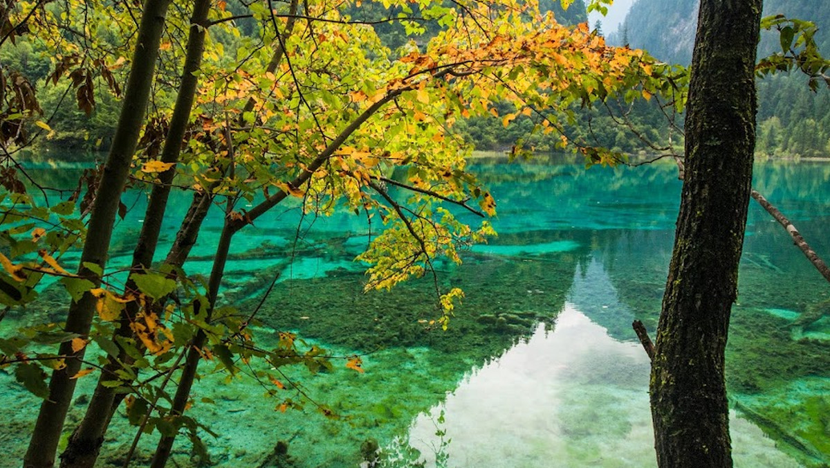 Park narodowy Jiuzhaigou i Huanglong