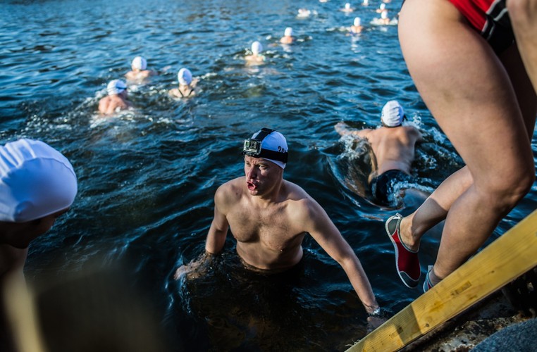 CZESKIE MORSY KĄPIĄ SIĘ W WEŁTAWIE