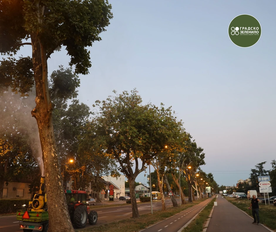 Održavanje plantana