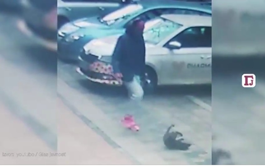 Štene koje je šutnuo muškarac na sred ulice