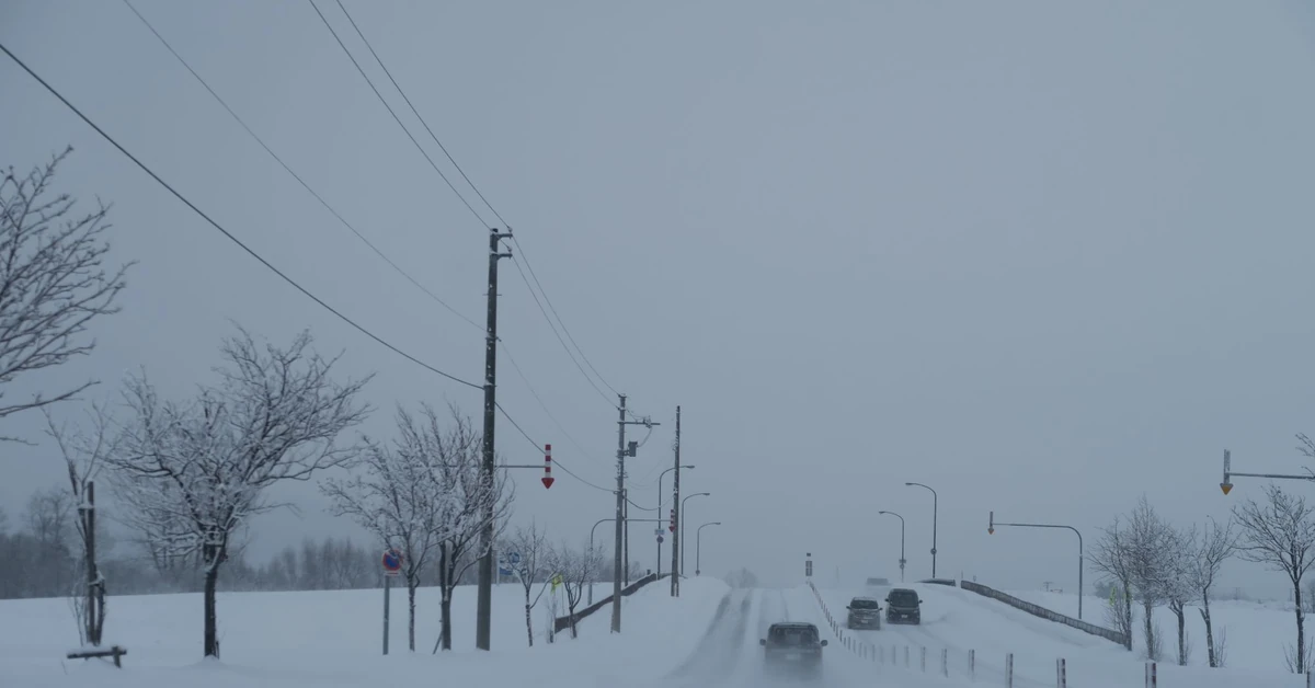 Kolejny atak zimy? Amerykańskie prognozy GFS nie są optymistyczne. Co na to IMGW?