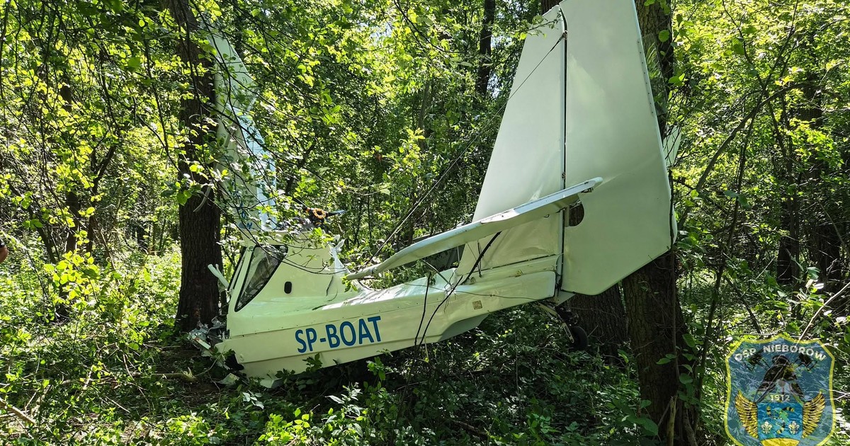 Katastrofa awionetki pod Łowiczem: Pilot w szpitalu po nagłym upadku w lesie