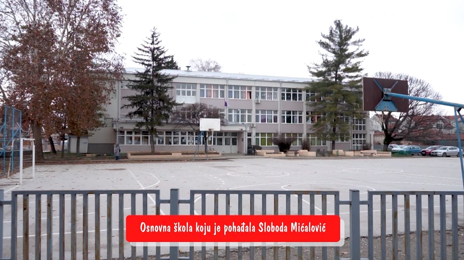 Sloboda Mićalović, emisija "Metar moga sela"