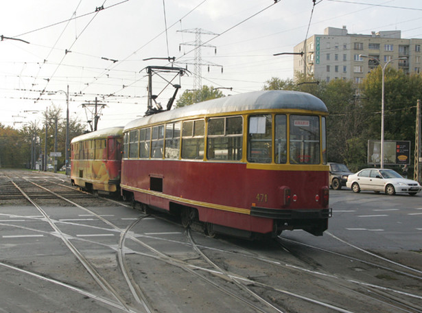 Motorniczy zostawił potrąconego psa