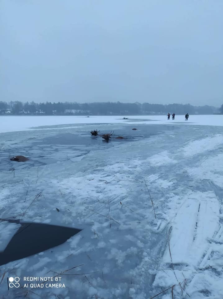 Akcja ratunkowa nad jeziorem Ińsko na Pomorzu Zachodnim