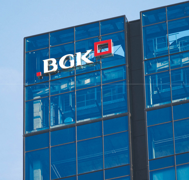 Projekt rozporządzenia ws. gwarancji BGK dla spłaty kredytów firm trafił do uzgodnień