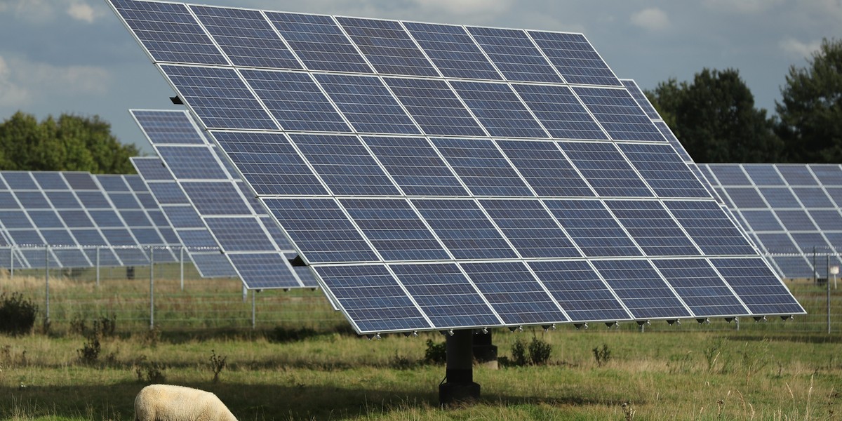 Getty_solar_farm_Sean_Gallup