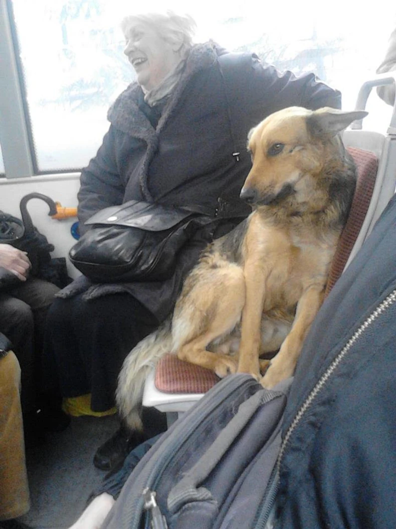 Često ni putnicima ne smeta