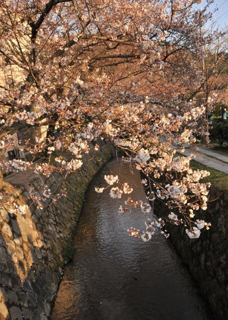 Galeria Japonia - w Kraju Kwitnącej Wiśni, obrazek 13