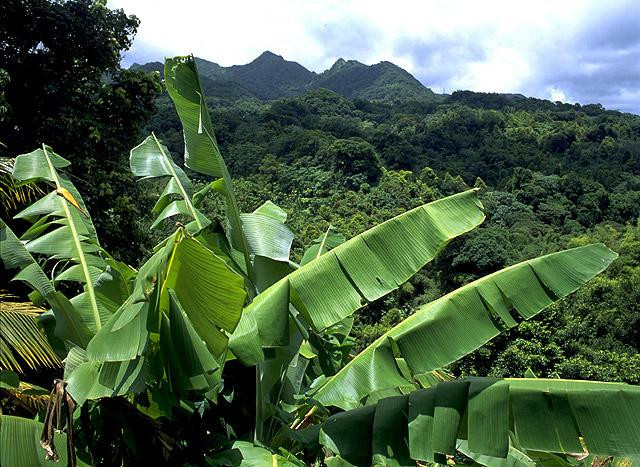 Galeria Grenada, obrazek 27